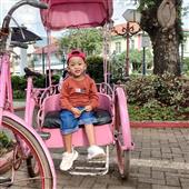 Đội bơ