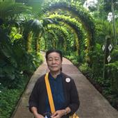 Thể th