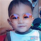 Đấu bò
