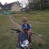 Lịch t