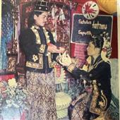 đội đả