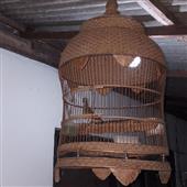 Ngôi Đ
