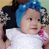 Kèo bó