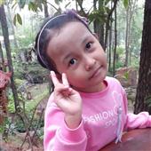 Các cử