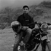 biểu t