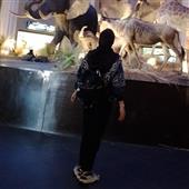 Tài ph