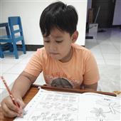Đua bi