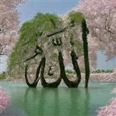 Trang 