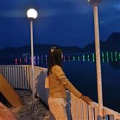 Bộ môn