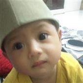 Gấu Mi
