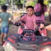 Luật c